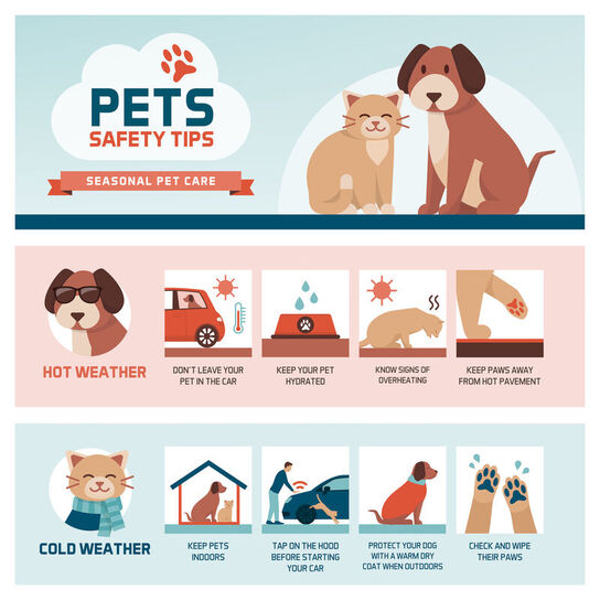 Pets Safety Tips: Seasonal Pet Care. Hot Weather: Don't leave your pet in the car, Keep your pet hydrated, Know signs of overheating, Keep paws away from hot pavement. Cold Weather: Keep pets indoors, Tap on the hood before starting your car, Protect your dog with a warm dry coat when outdoors, Check and wipe their paws