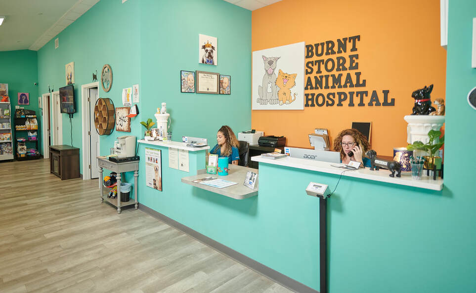 Picture of Reception/Check-In area of Burnt Store Animal Hospital
