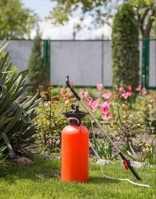 Picture of yard with pump spray bottle