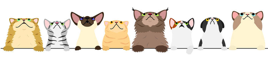 Cute Illustration of Cats, Dogs looking up