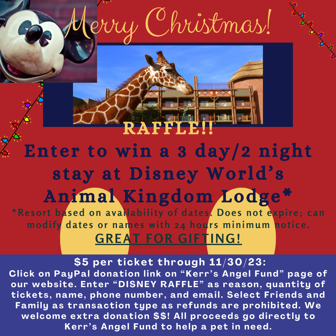 Disney World's Animal Kingdom Lodge photo with Giraffe. CLICK ON IMAGE TO BE REDIRECTED TO PAYPAL LINK FOR OUR NON-PROFIT